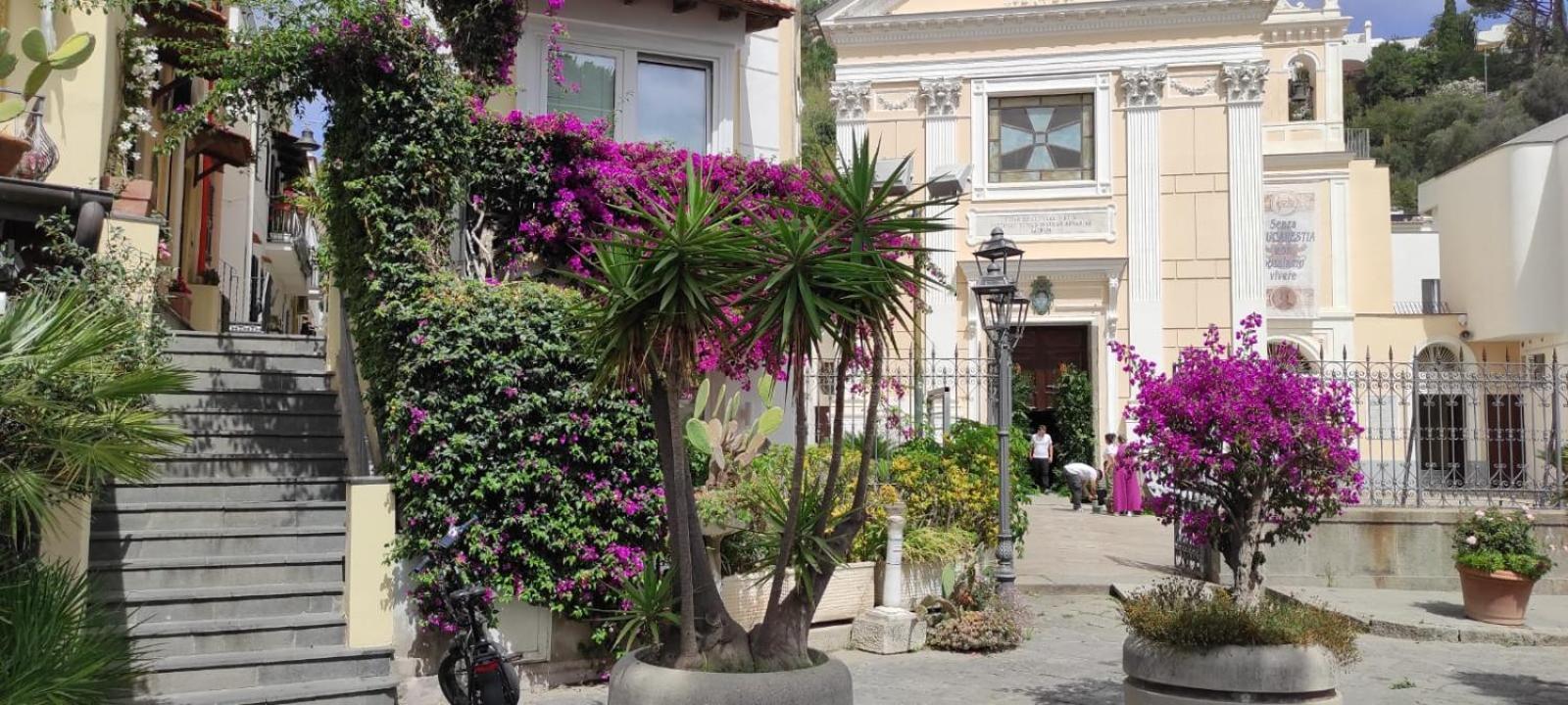 イスキア島 La Casa Rosa Di Giuliaヴィラ エクステリア 写真